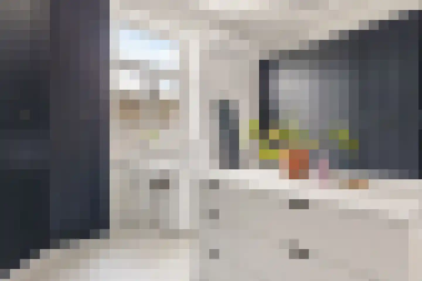 Trippaardstraat 34 Thorn thumbnail 33