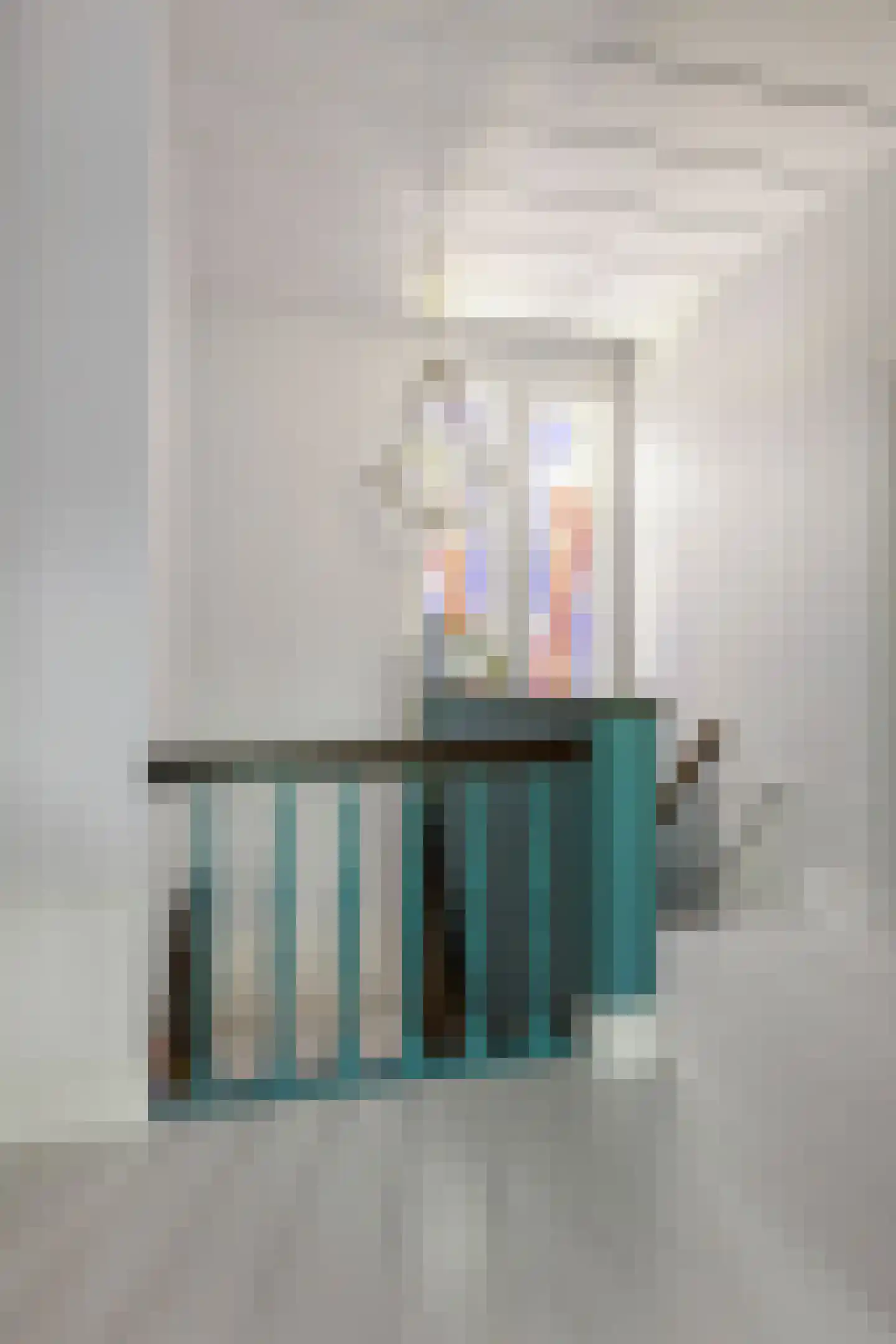 Trippaardstraat 34 Thorn thumbnail 48