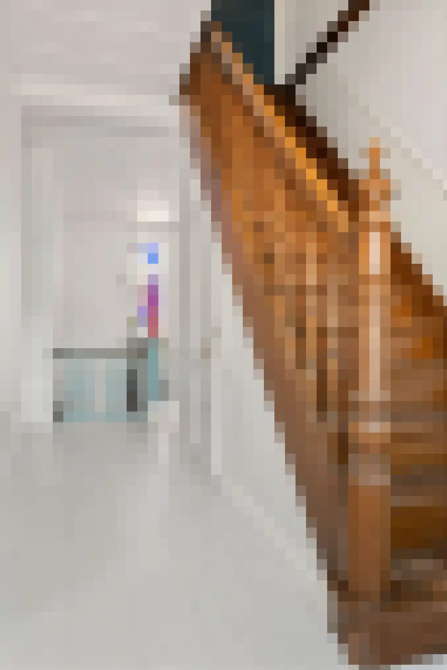 Trippaardstraat 34 Thorn thumbnail 49