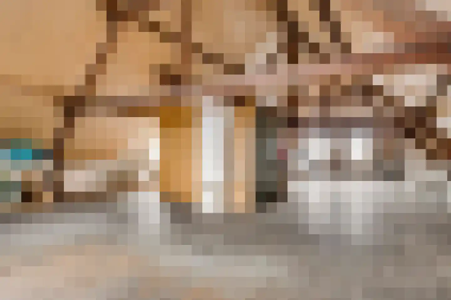 Trippaardstraat 34 Thorn thumbnail 65