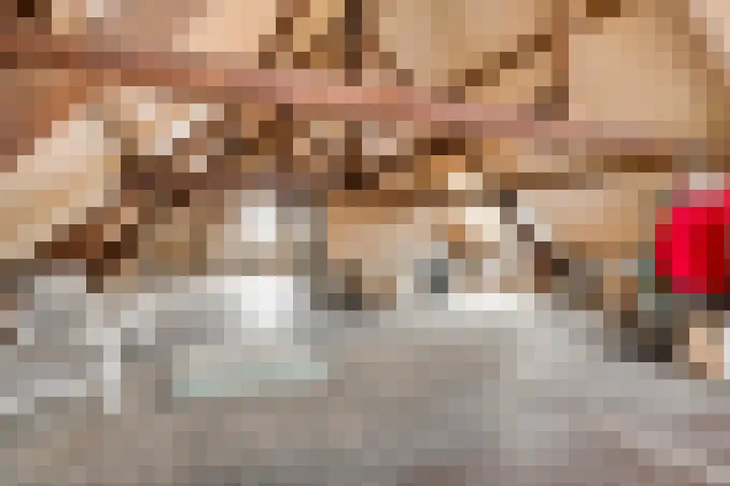 Trippaardstraat 34 Thorn thumbnail 66