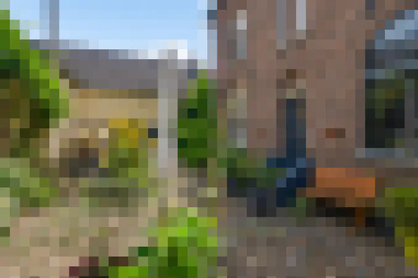 Trippaardstraat 34 Thorn thumbnail 68