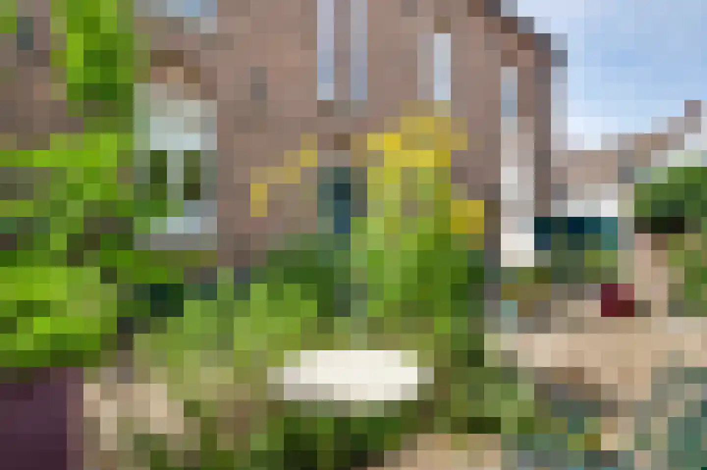 Trippaardstraat 34 Thorn thumbnail 70