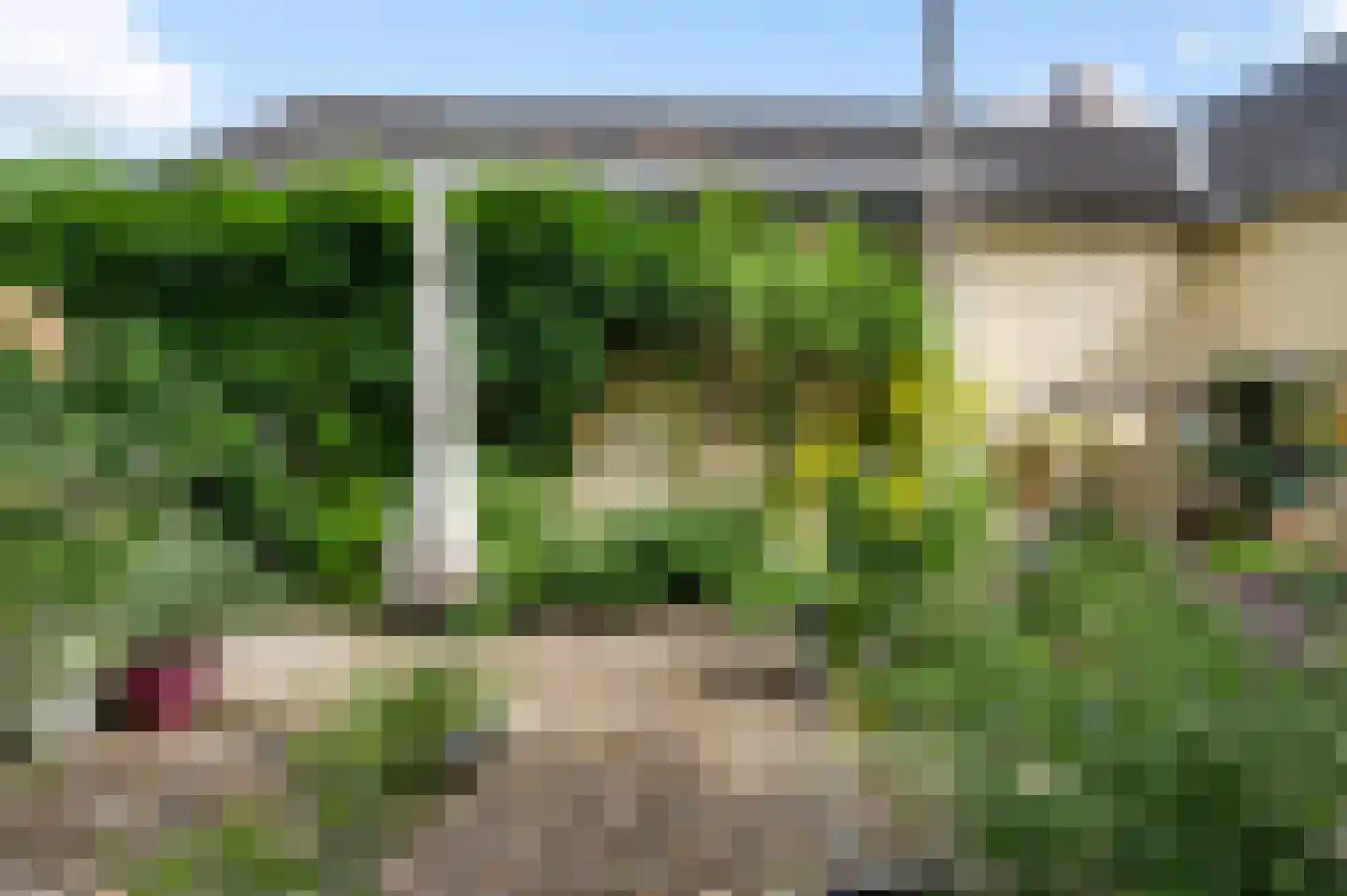 Trippaardstraat 34 Thorn thumbnail 71
