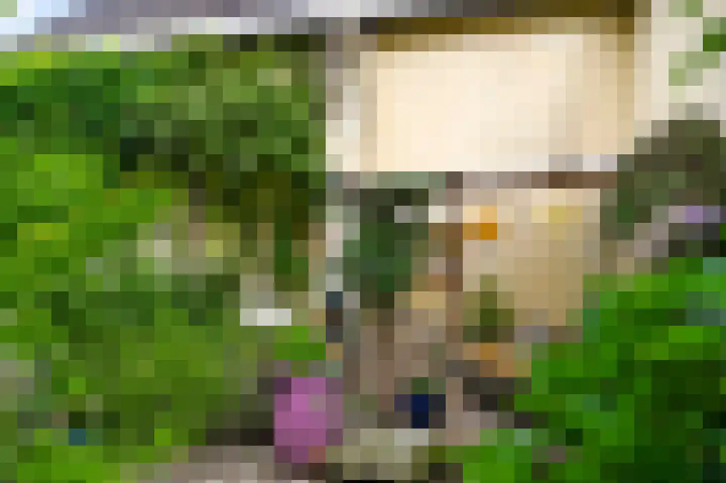Trippaardstraat 34 Thorn thumbnail 72