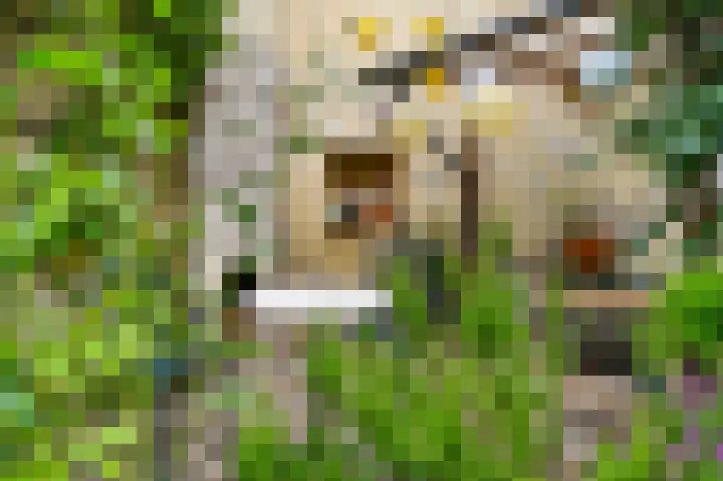Trippaardstraat 34 Thorn thumbnail 76