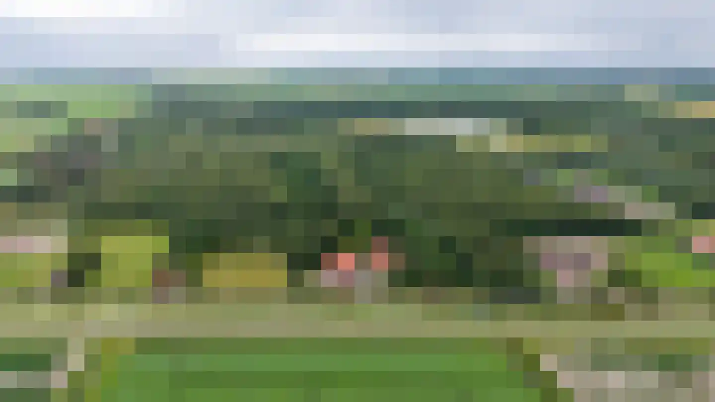 Tripscompagniesterweg 22 Tripscompagnie thumbnail 5