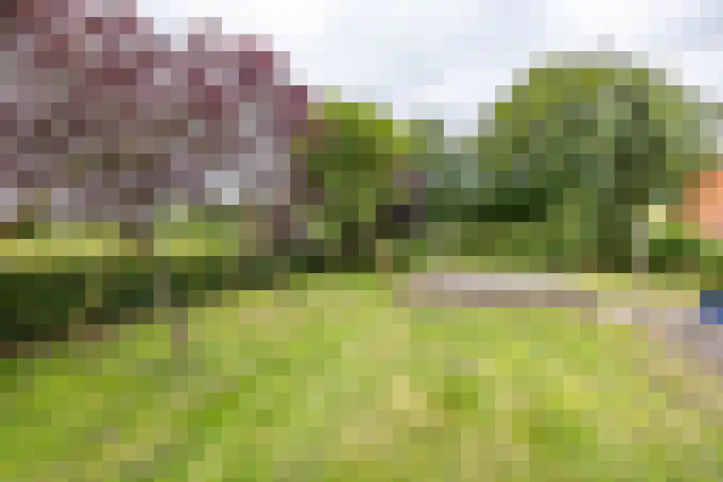 Tripscompagniesterweg 22 Tripscompagnie thumbnail 66