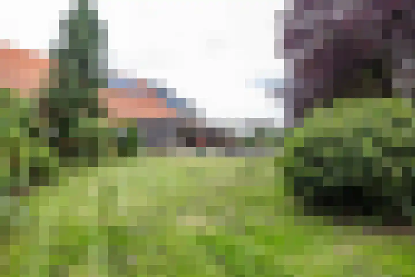 Tripscompagniesterweg 22 Tripscompagnie thumbnail 69