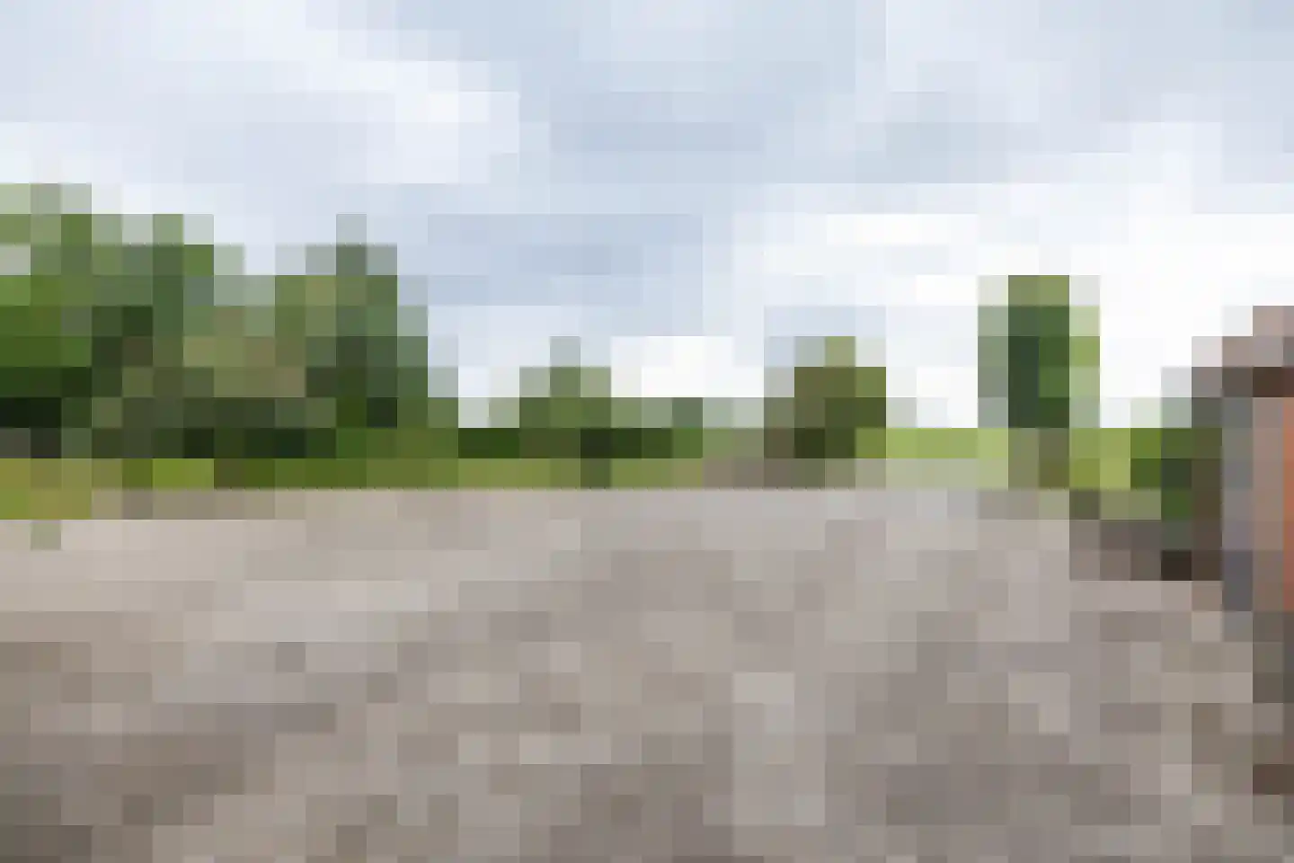 Tripscompagniesterweg 22 Tripscompagnie thumbnail 72