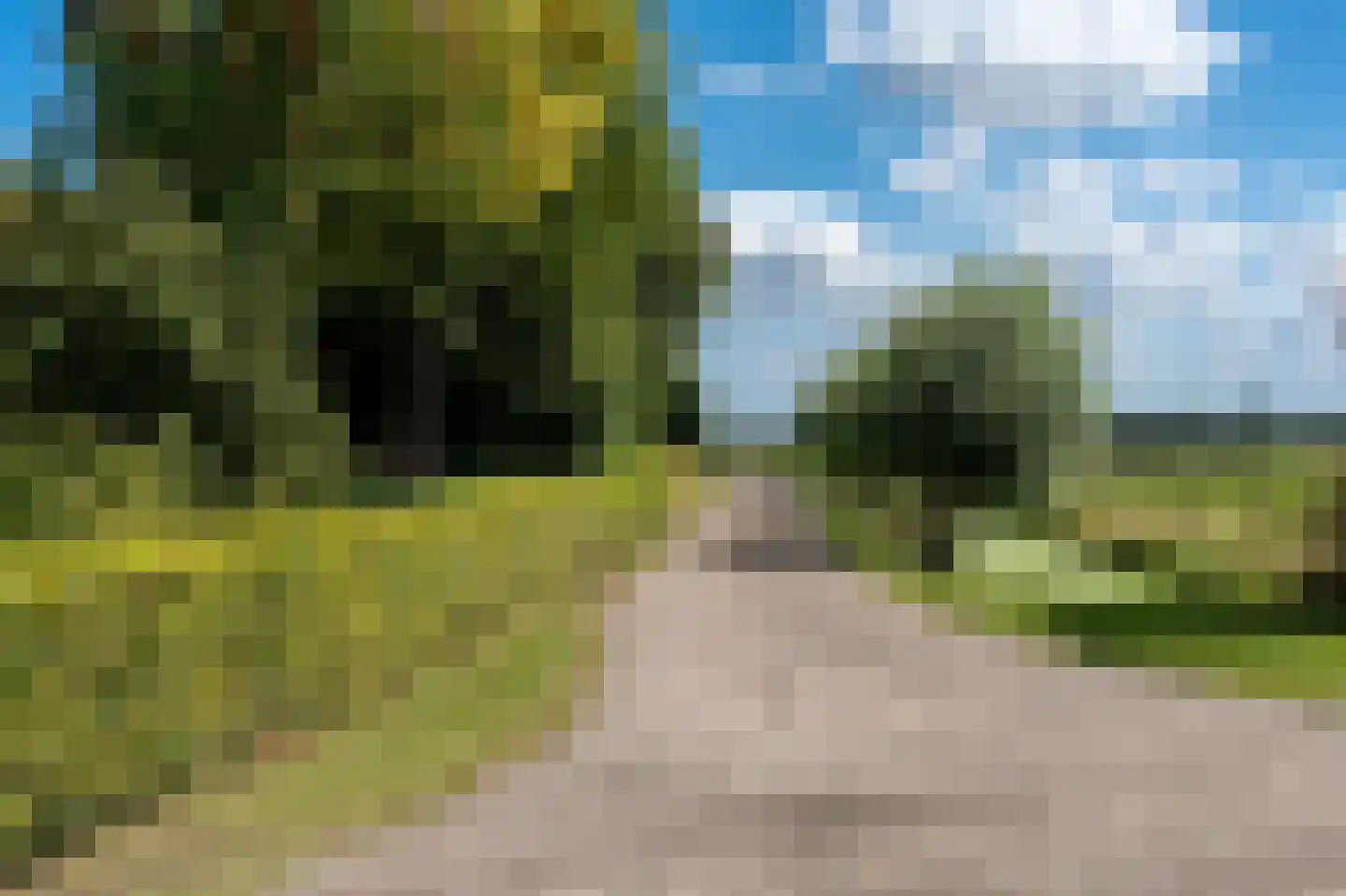 Tripscompagniesterweg 29 Tripscompagnie thumbnail 61