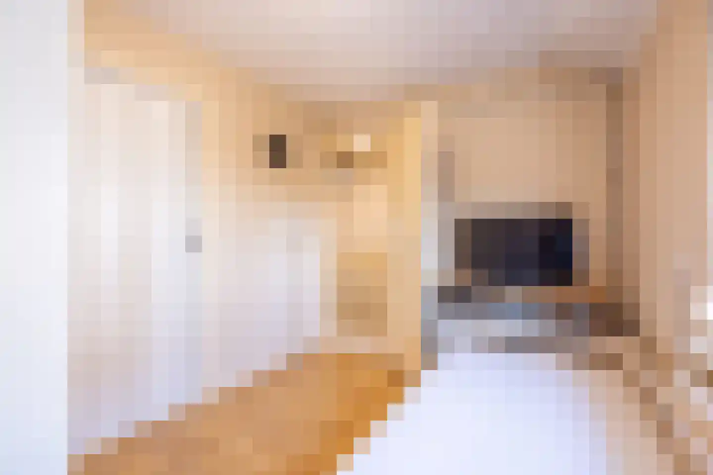 Tripsstraat 3 Eygelshoven thumbnail 24