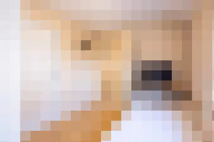 Tripsstraat 3 Eygelshoven thumbnail 24