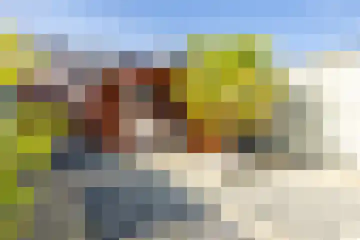 Tripsstraat 3 Eygelshoven thumbnail 34