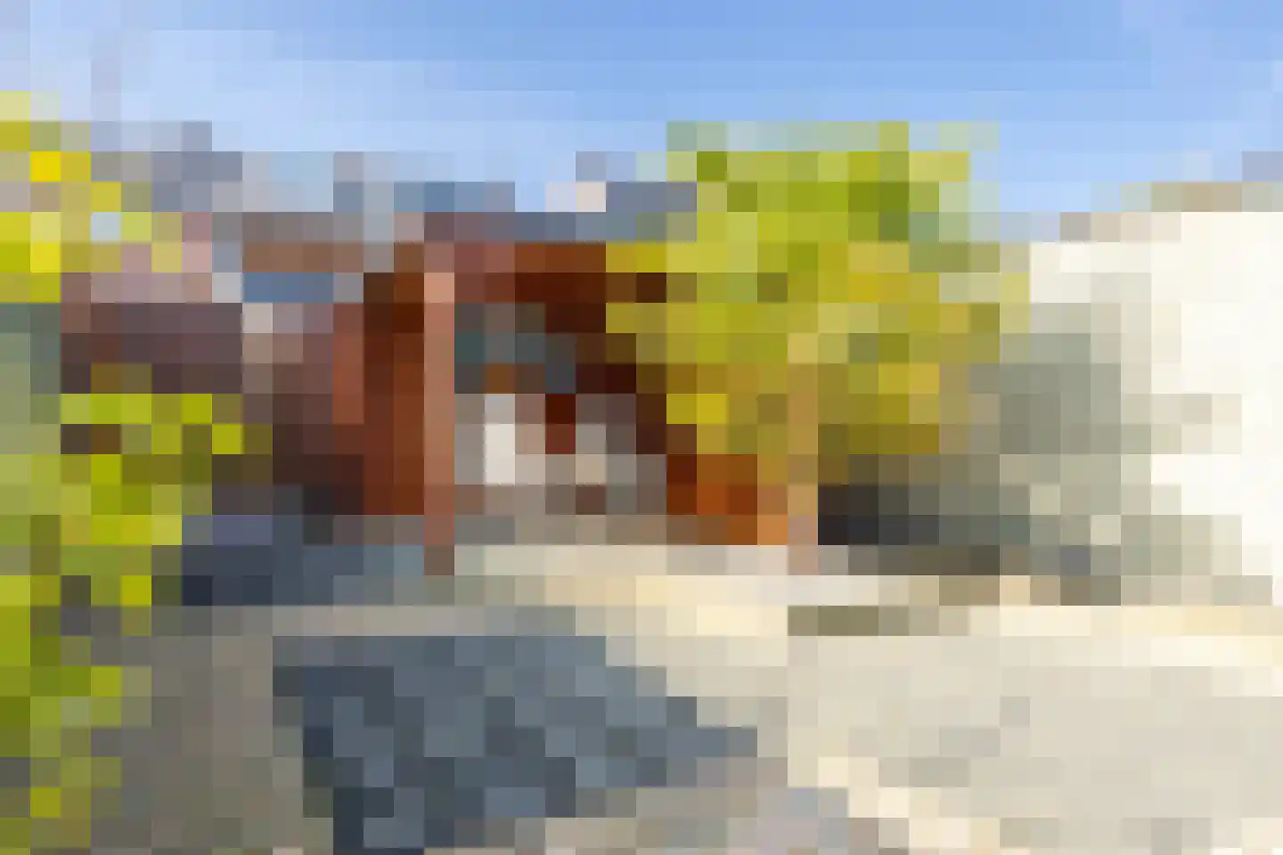 Tripsstraat 3 Eygelshoven thumbnail 34