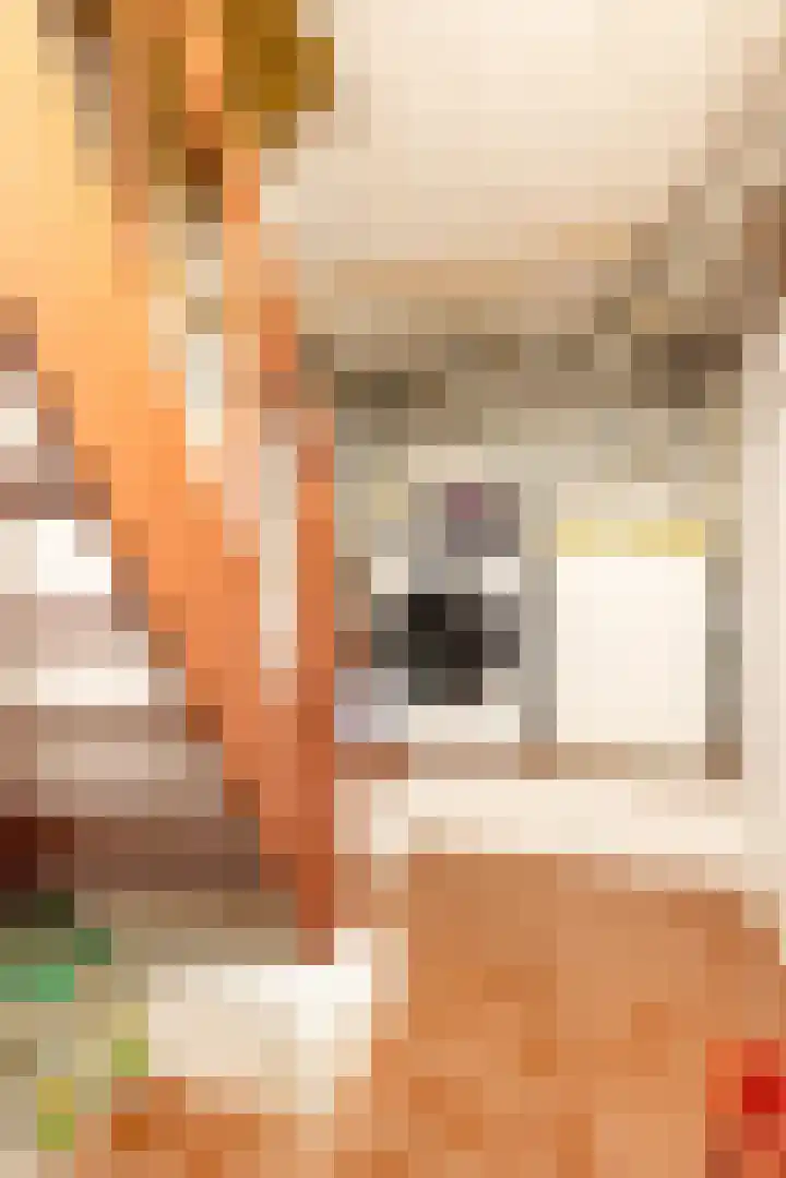 Tripsstraat 3 Eygelshoven thumbnail 8