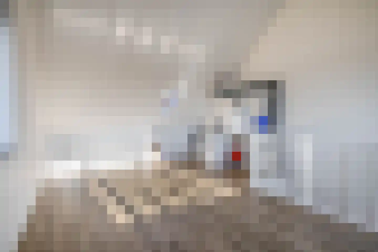 Triremestraat 28 Naaldwijk thumbnail 29