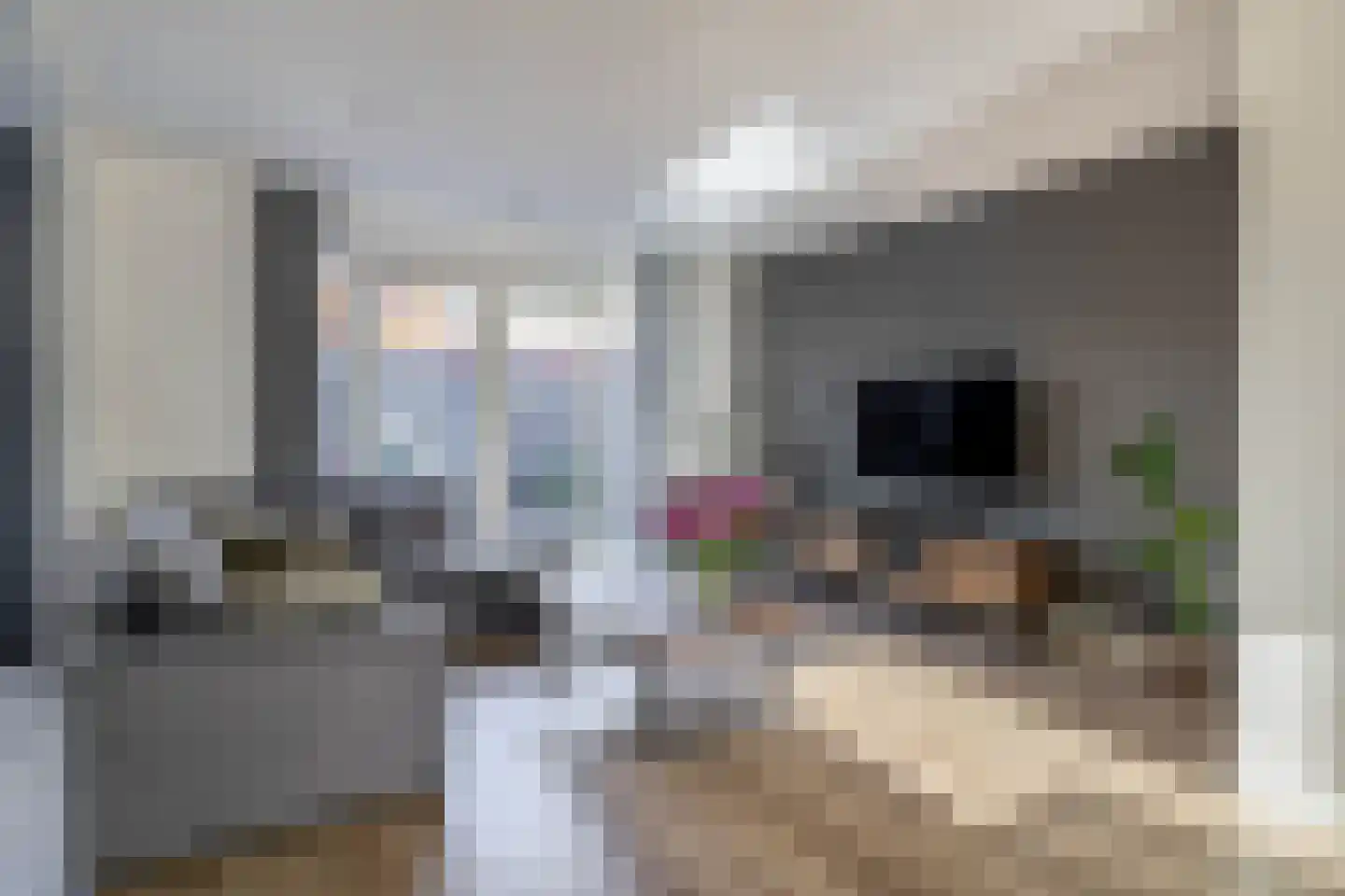 Triremestraat 28 Naaldwijk thumbnail 7