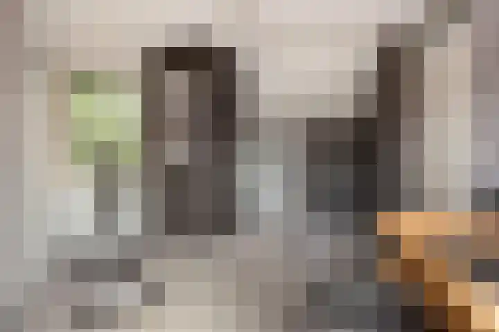 Tristanlaan 8 Nieuwegein thumbnail 34