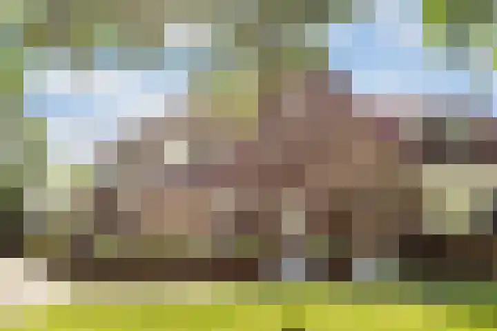 Tristanlaan 8 Nieuwegein thumbnail 38