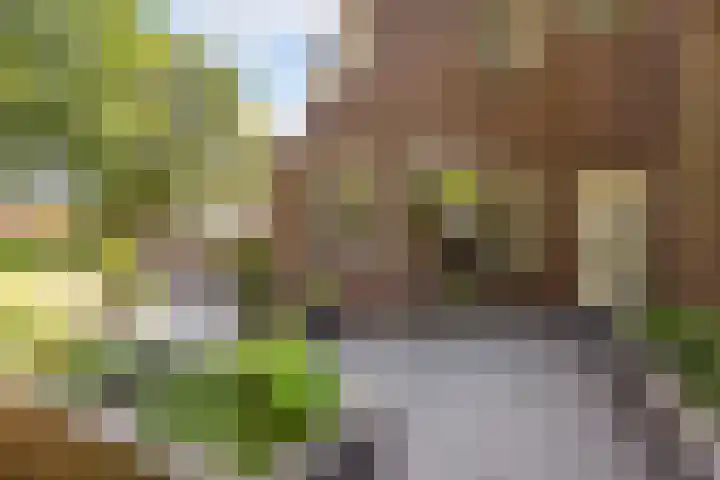 Tristanlaan 8 Nieuwegein thumbnail 39