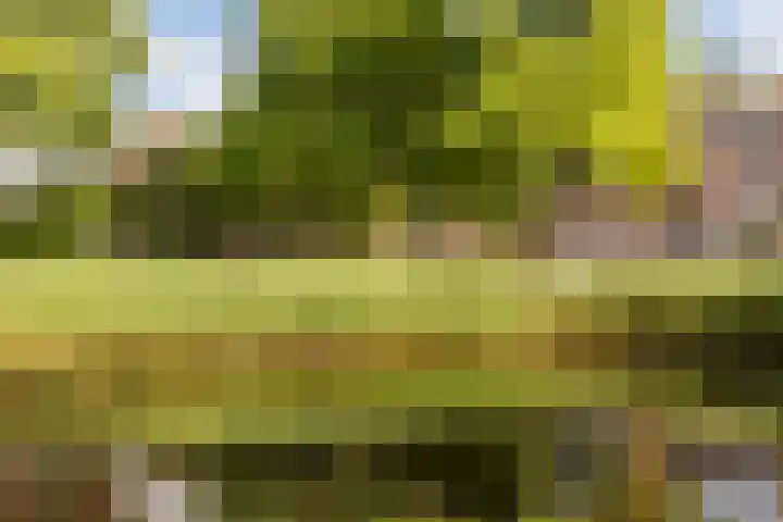 Tristanlaan 8 Nieuwegein thumbnail 42