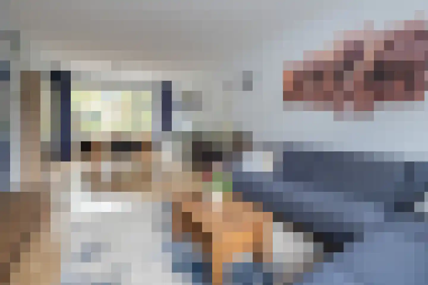 Tristanpad 2 Amersfoort thumbnail 11