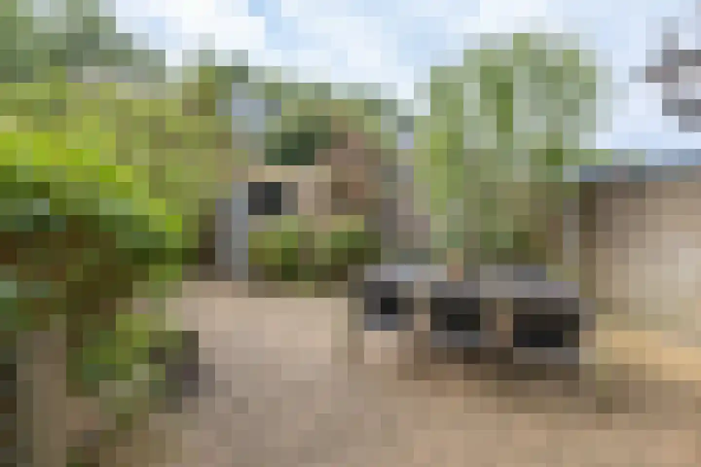 Tristanpad 2 Amersfoort thumbnail 36