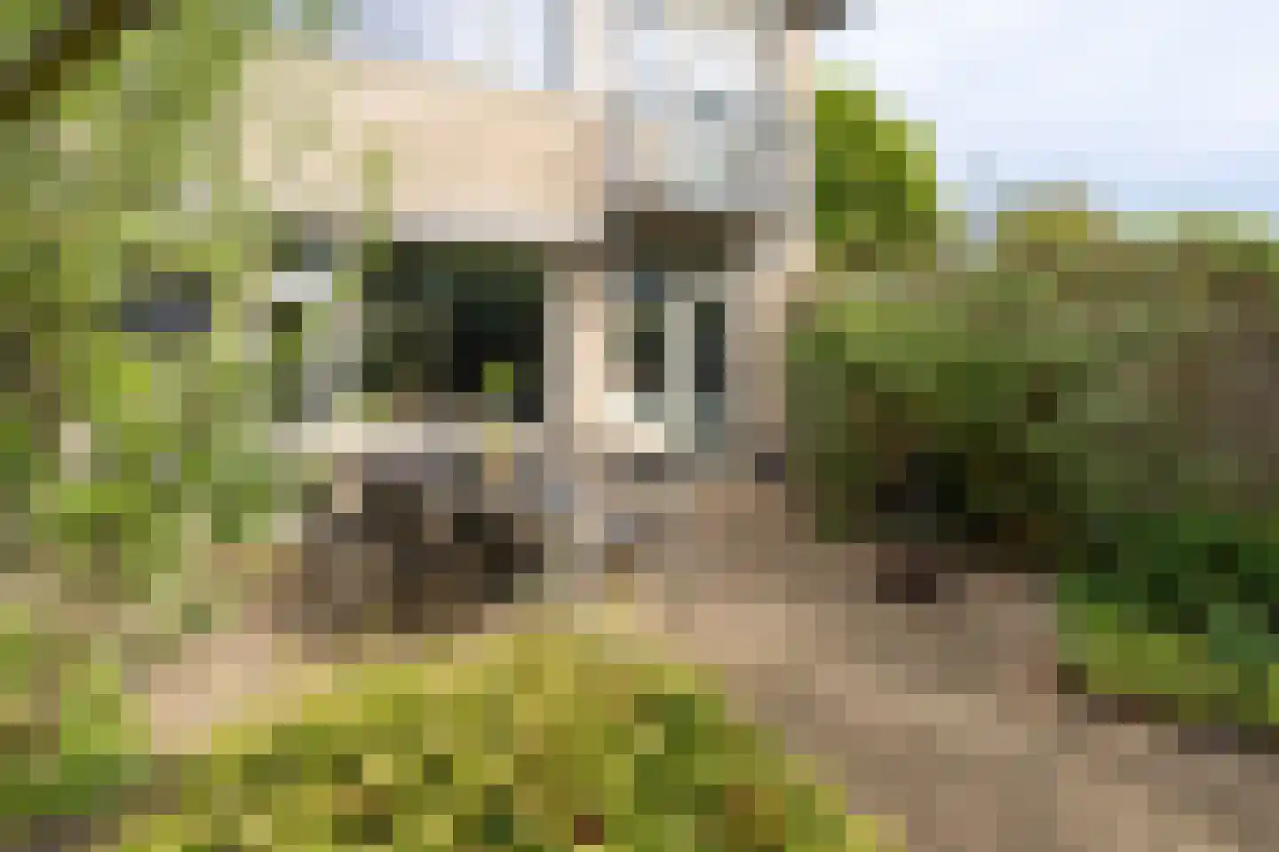 Tristanpad 2 Amersfoort thumbnail 37