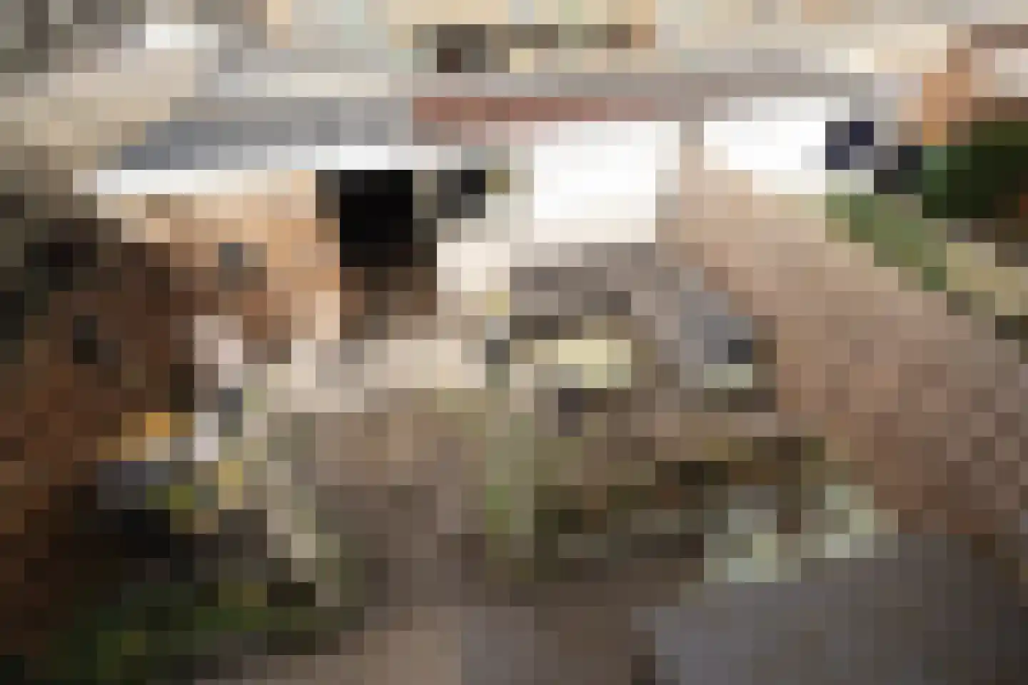 Tristanpad 35 Amersfoort thumbnail 20