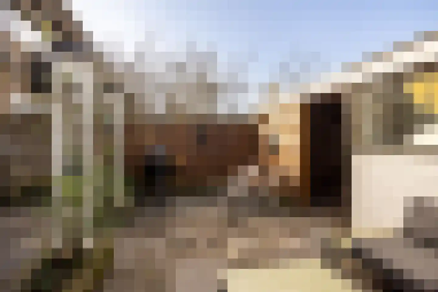Tristanpad 35 Amersfoort thumbnail 31