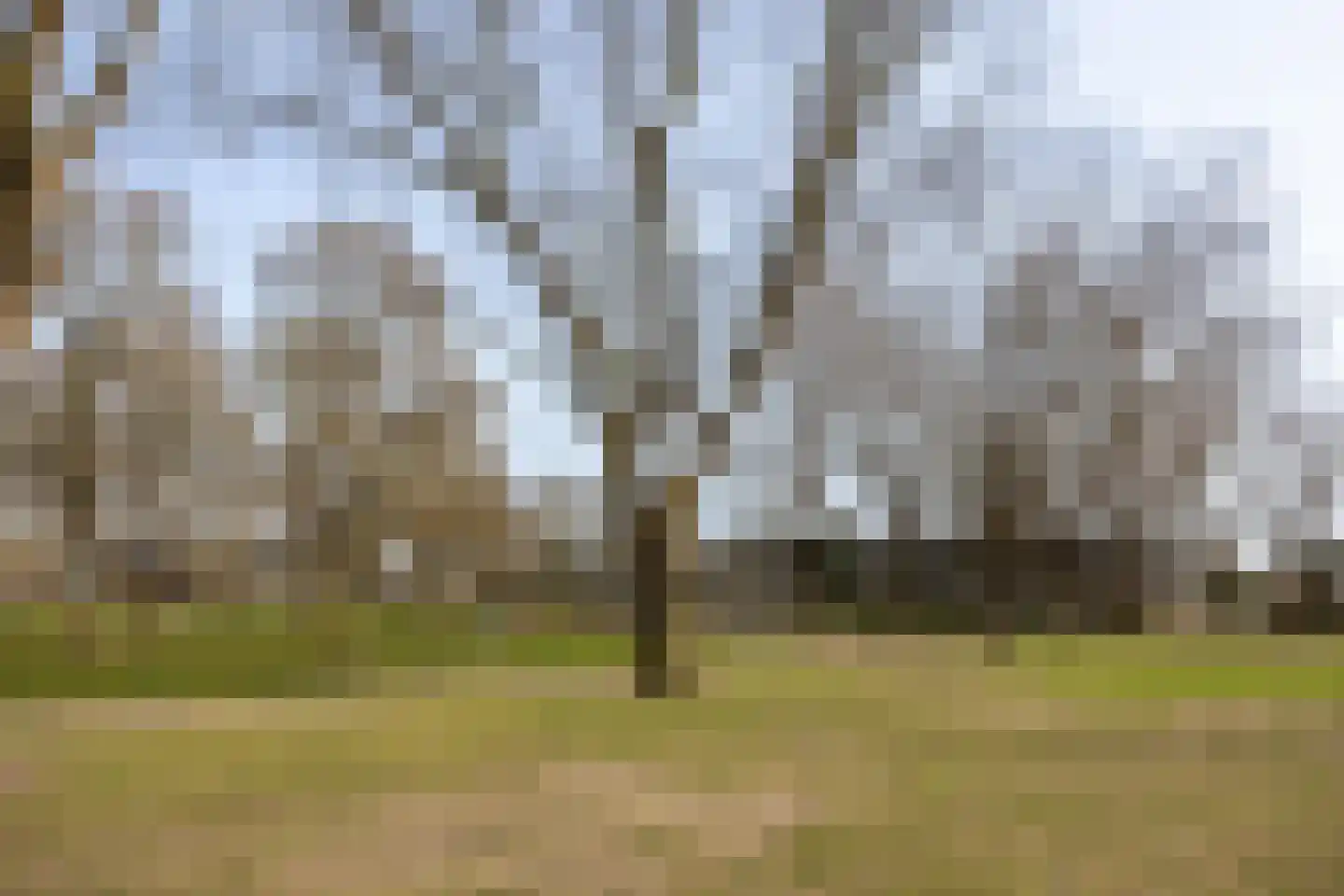 Tristanpad 35 Amersfoort thumbnail 35