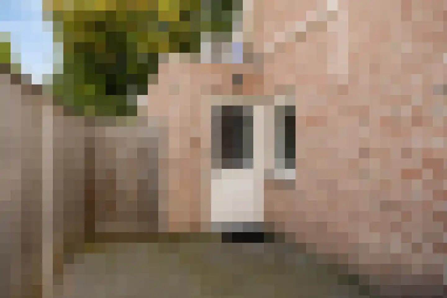 Tritbach 15 Brunssum thumbnail 32