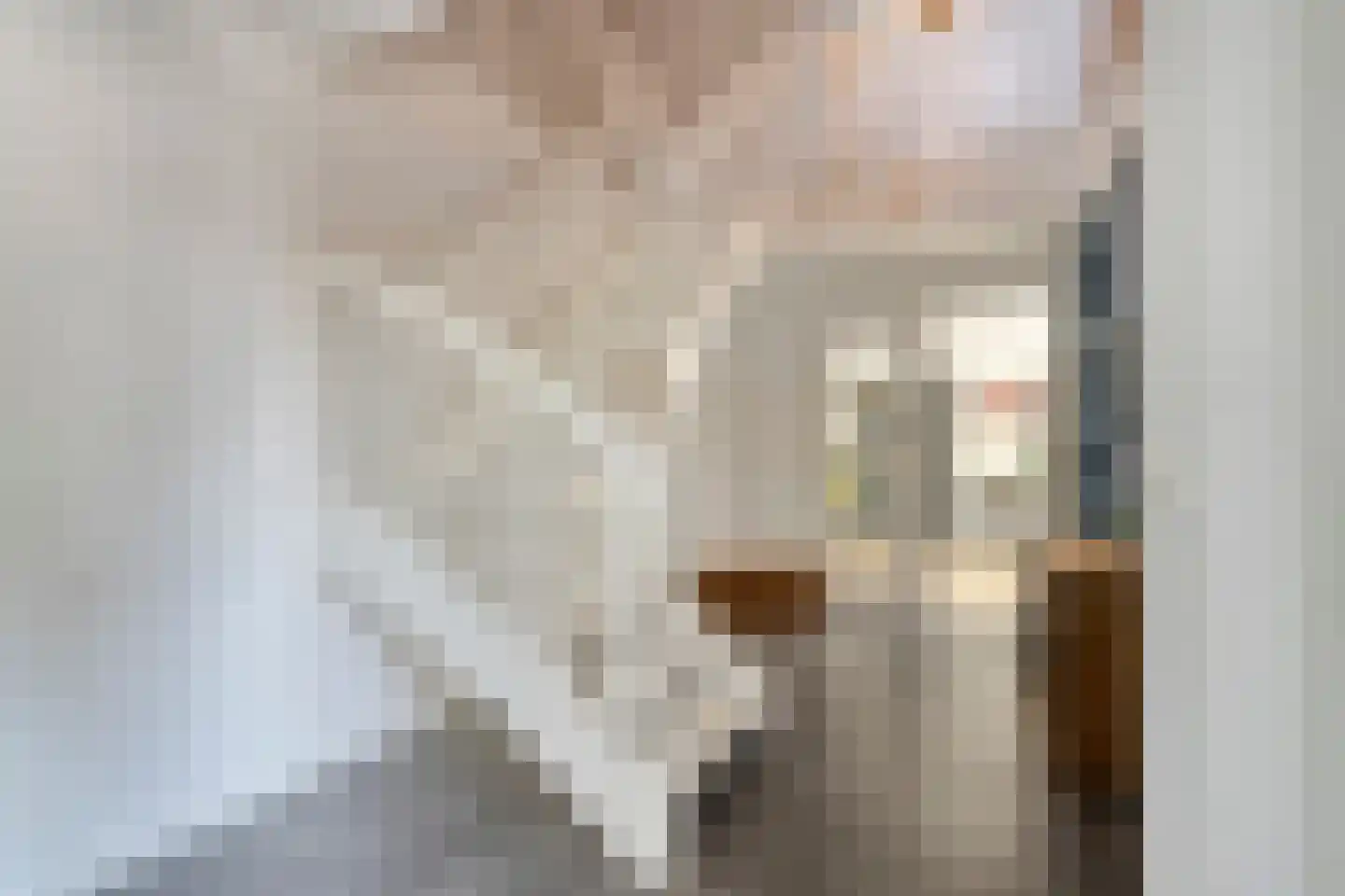 Tritbach 15 Brunssum thumbnail 6