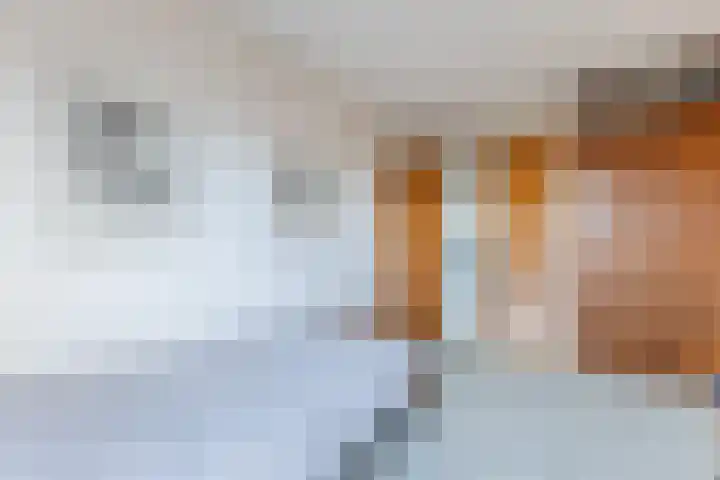 Tritonlaan 13 Krommenie thumbnail 23