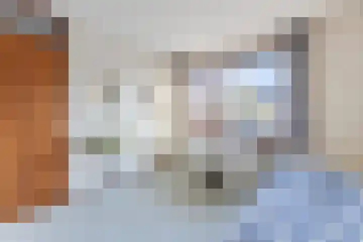 Tritonlaan 13 Krommenie thumbnail 25