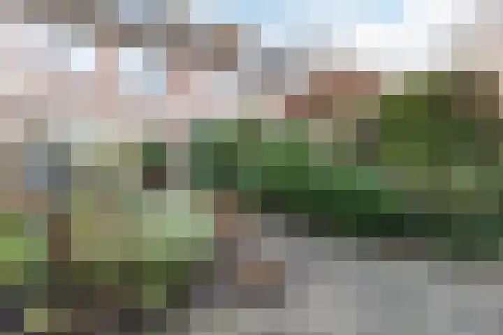 Tritonlaan 13 Krommenie thumbnail 40