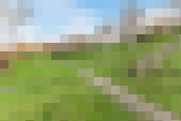 Tritonlaan 13 Krommenie thumbnail 44