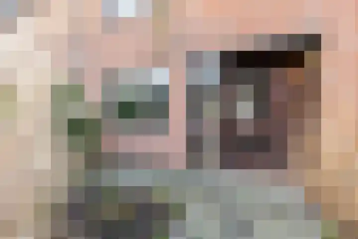 Tritonlaan 13 Krommenie thumbnail 48