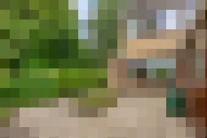 Tritonlaan 2 Heerhugowaard thumbnail 29
