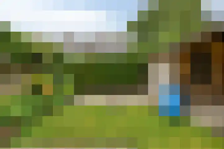 Tritonlaan 2 Heerhugowaard thumbnail 32