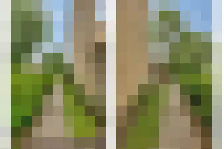 Tritonlaan 2 Heerhugowaard thumbnail 33