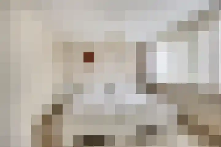 Tritonlaan 2 Heerhugowaard thumbnail 4