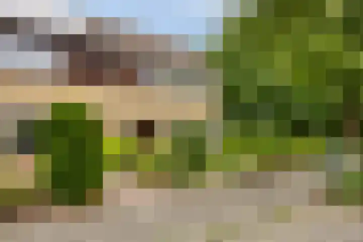 Tritonlaan 2 Heerhugowaard thumbnail 8