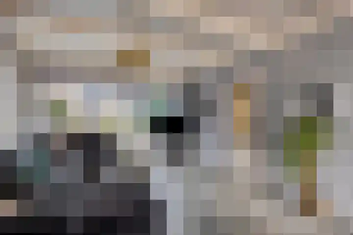 Tritonlaan 24 Heerhugowaard thumbnail 11