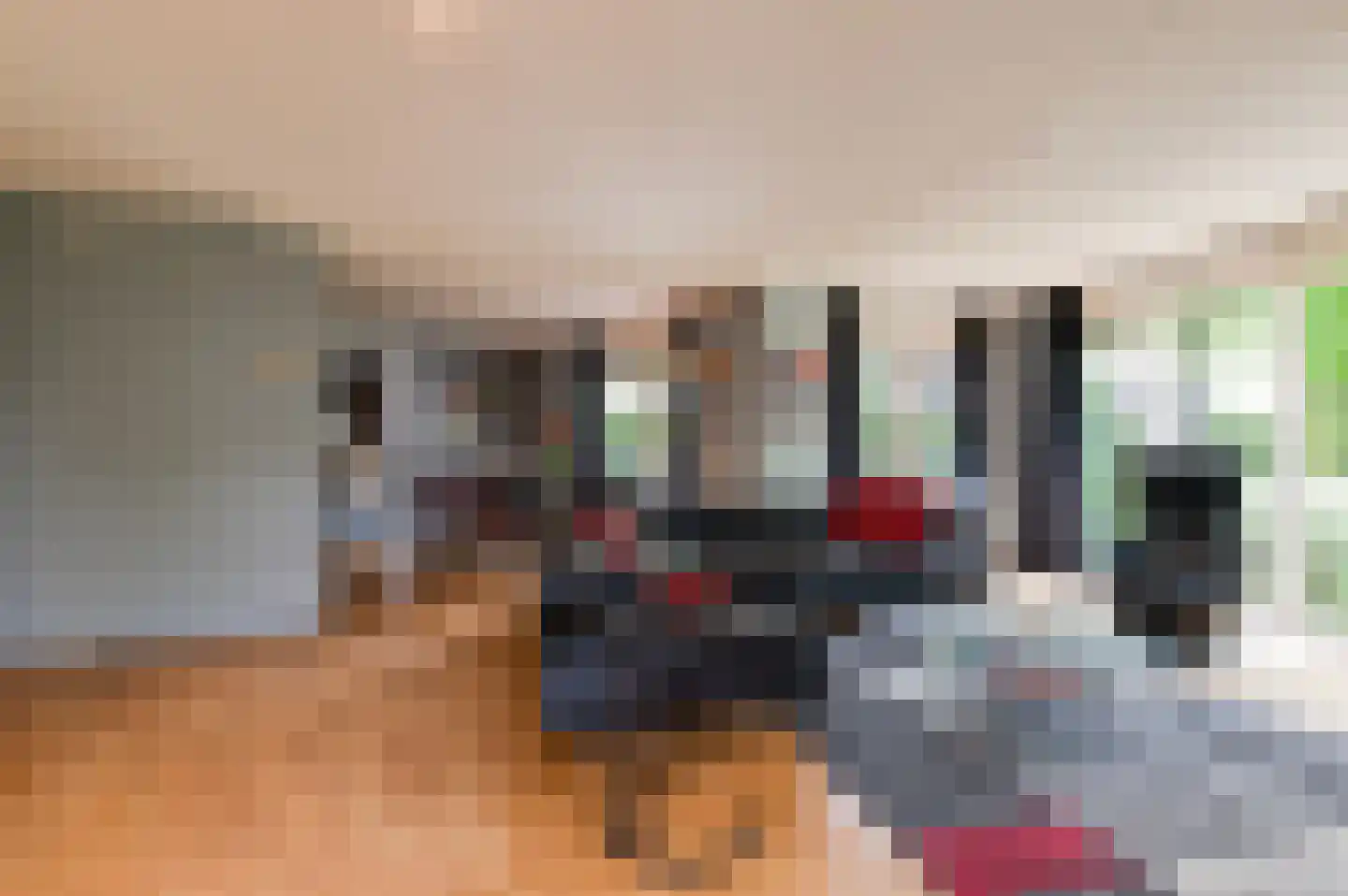 Tritonpad 1 Culemborg thumbnail 16