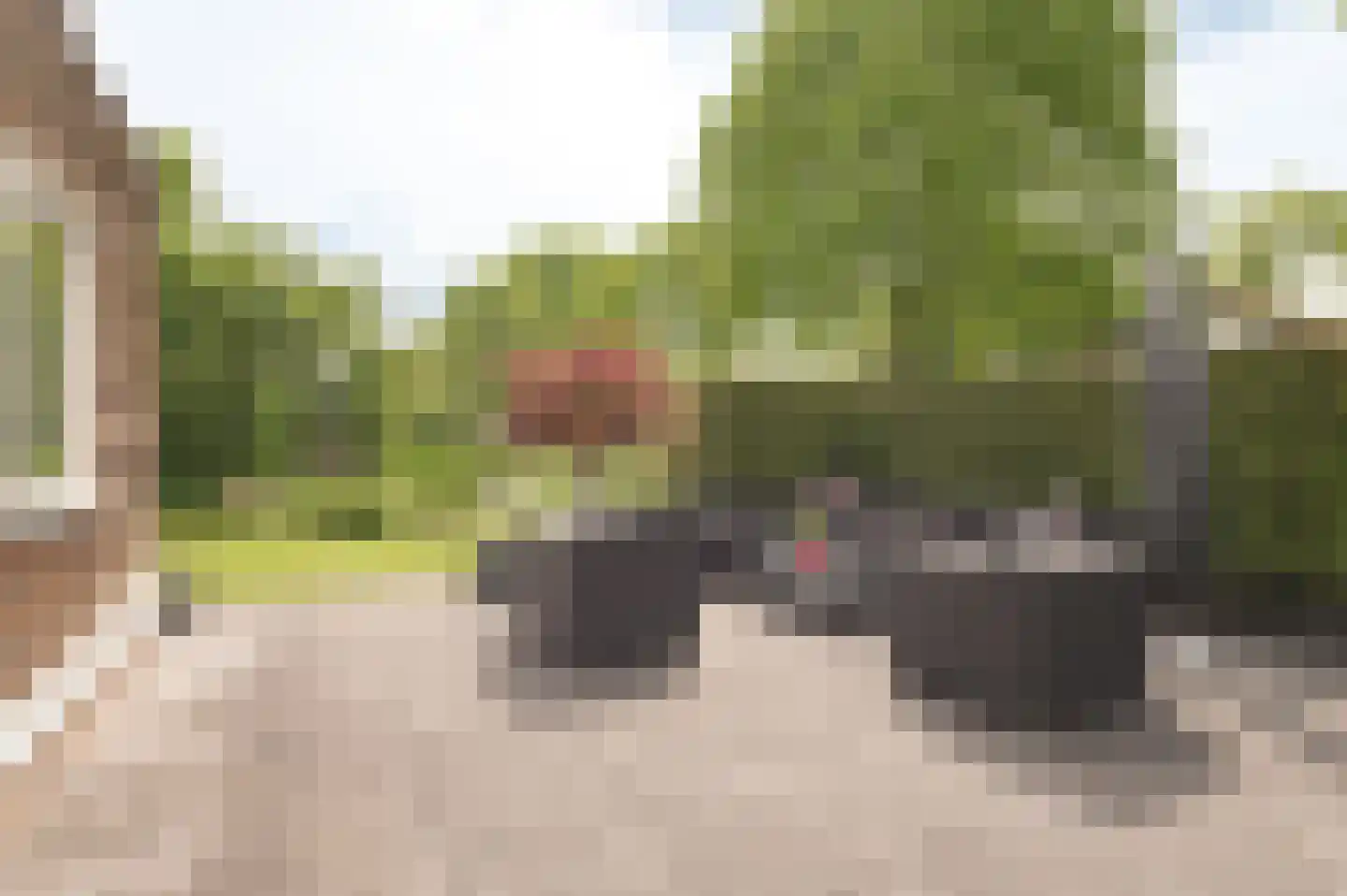 Tritonpad 1 Culemborg thumbnail 22