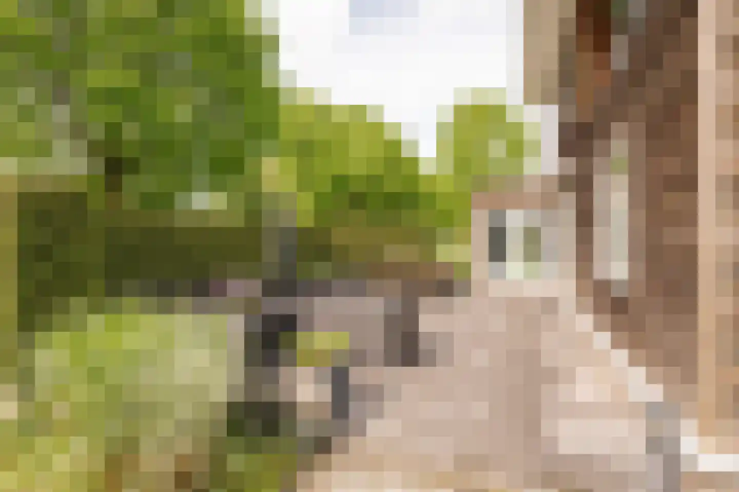 Tritonpad 1 Culemborg thumbnail 23