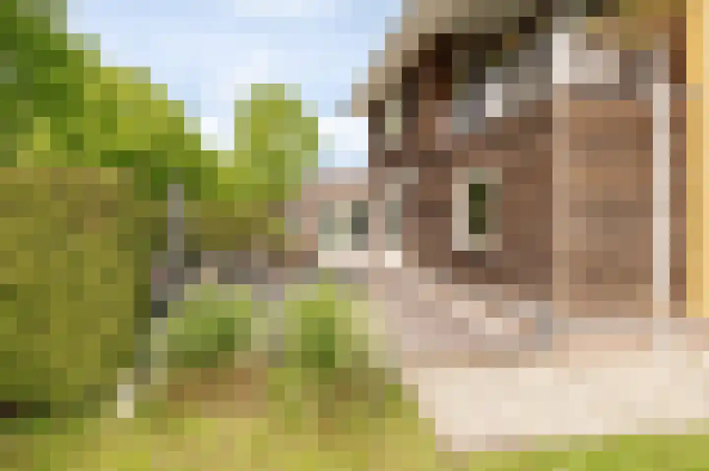Tritonpad 1 Culemborg thumbnail 24