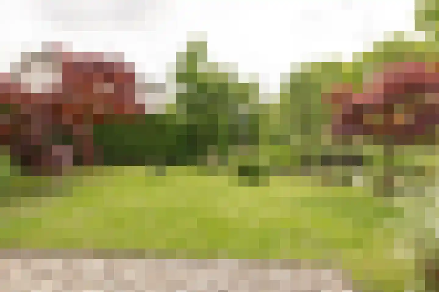 Tritonpad 1 Culemborg thumbnail 26